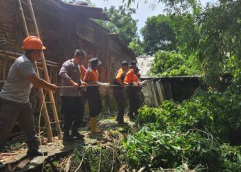 Abdimas Kwarcab Banyumas Bersama Tim Gabungan Tangani Bencana Pohon Tumbang di Desa Kembaran