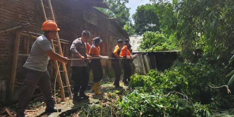 Abdimas Kwarcab Banyumas Bersama Tim Gabungan Tangani Bencana Pohon Tumbang di Desa Kembaran