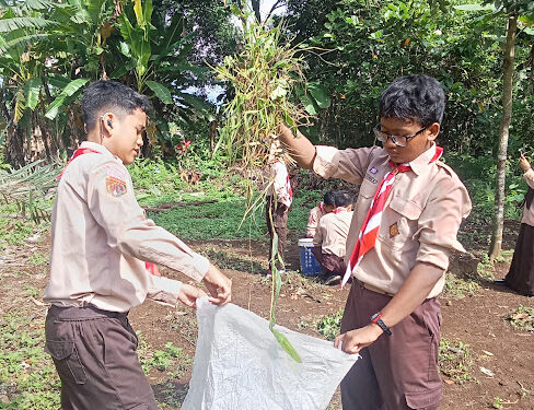 Cinta Alam dan Kasih Sayang Sesama Manusia, Gudep SMP QITA Ubah Rumput Liar menjadi Kompos
