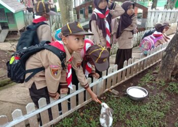 Wisata Siaga SD Negeri 1 Karangnanas: Belajar Langsung di Alam Provit Farm Village