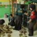 Aksi Nyata Tingkatkan Literasi, Peserta Perkemahan Wirakarya Banyumas 2026 Percantik Perpustakaan Sekolah