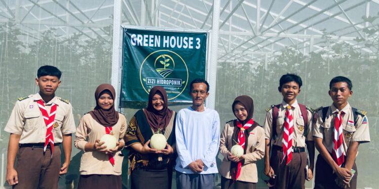 LANGKAH KECIL MENUJU SWASEMBADA PANGAN, DKR PURWOJATI BELAJAR MELON HIDROPONIK