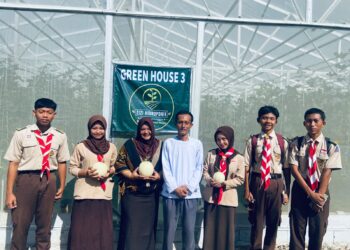 Langkah Kecil Menuju Swasembada Pangan, DKR Purwojati Belajar Budidaya Melon Hidroponik