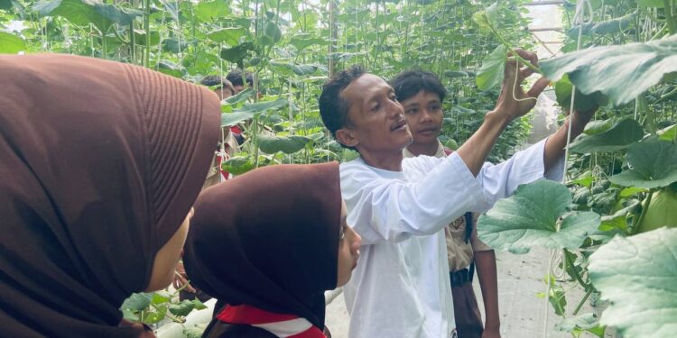Dukung Swasembada Pangan, DKR Purwojati Belajar Budidaya Melon Hidroponik di Zizi Hidroponik
