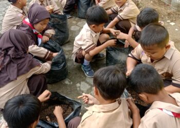 Pramuka SDN 4 Wangon Tanam Sayuran, Wujudkan Ketahanan Pangan Sejak Dini