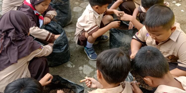 Pramuka SDN 4 Wangon Tanam Sayuran, Wujudkan Ketahanan Pangan Sejak Dini