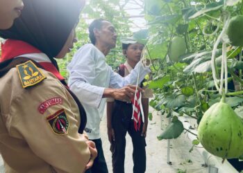 Bermula dari ZIZI HIDROPONIK, DKR Purwojati memulai langkah menuju swasembada pangan