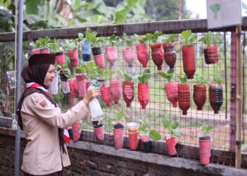 Pramuka SMP QITA Manfaatkan Lahan Sempit untuk Mendukung Swasembada Pangan