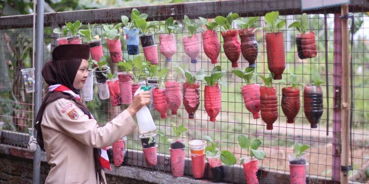 Pramuka SMP QITA Manfaatkan Lahan Sempit untuk Mendukung Swasembada Pangan