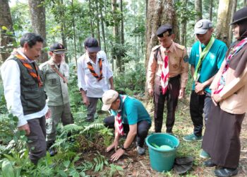 Pramuka Banyumas Tanam Ratusan Pohon, Wujud Nyata Scout for Green 2026 di Lereng Gunung Slamet