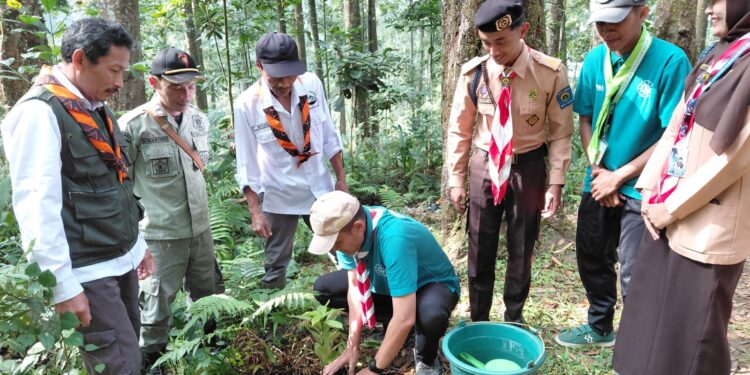 Pramuka Banyumas Tanam Ratusan Pohon, Wujud Nyata Scout for Green 2026 di Lereng Gunung Slamet