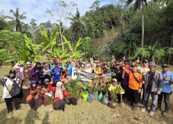 Menanam Asa : Pramuka Rawalo Rintis Jalan Swasembada Pangan