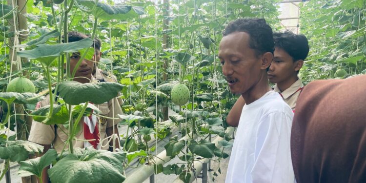 WUJUD DUKUNGAN PRAMUKA UNTUK SWASEMBADA PANGAN, DKR PURWOJATI MELAKUKAN KUNJUNGAN KE ZIZI HIDROPONIK
