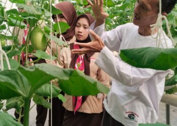 DKR Kwarran Purwojati Laksanakan Kunjungan Edukatif ke Zizi Hidroponik, Dorong Inovasi Pertanian Menuju Ketahanan Pangan