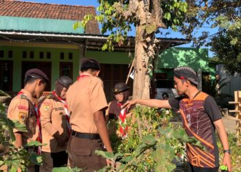 Dari Belajar ke Aksi, Pramuka Tambak Bergerak Manfaatkan Lorong Sanggar untuk Berkebun sebagai Dukungan Program Edukatif Pangan