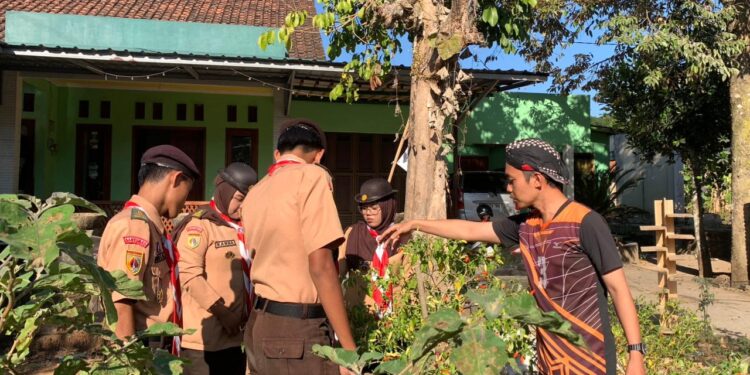 Dari Belajar ke Aksi, Pramuka Tambak Bergerak Manfaatkan Lorong Sanggar untuk Berkebun sebagai Dukungan Program Edukatif Pangan
